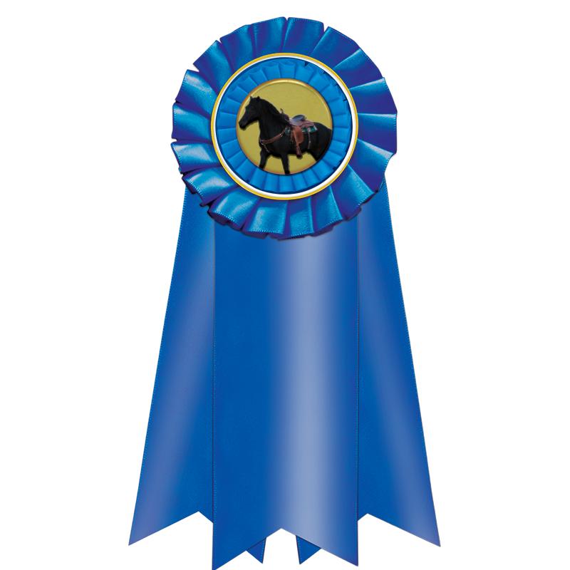 7" JUMBO BLUE MYLAR ROSETTE