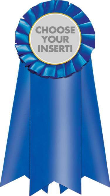 Jumbo Rosettes | Jumbo Blue Rosette Ribbon