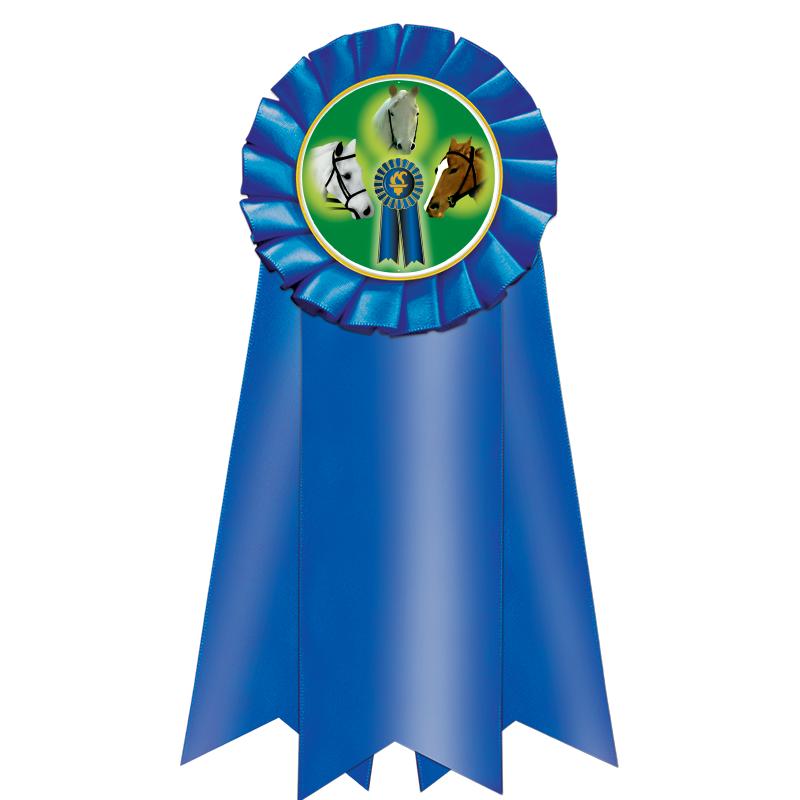 7" JUMBO BLUE MYLAR ROSETTE
