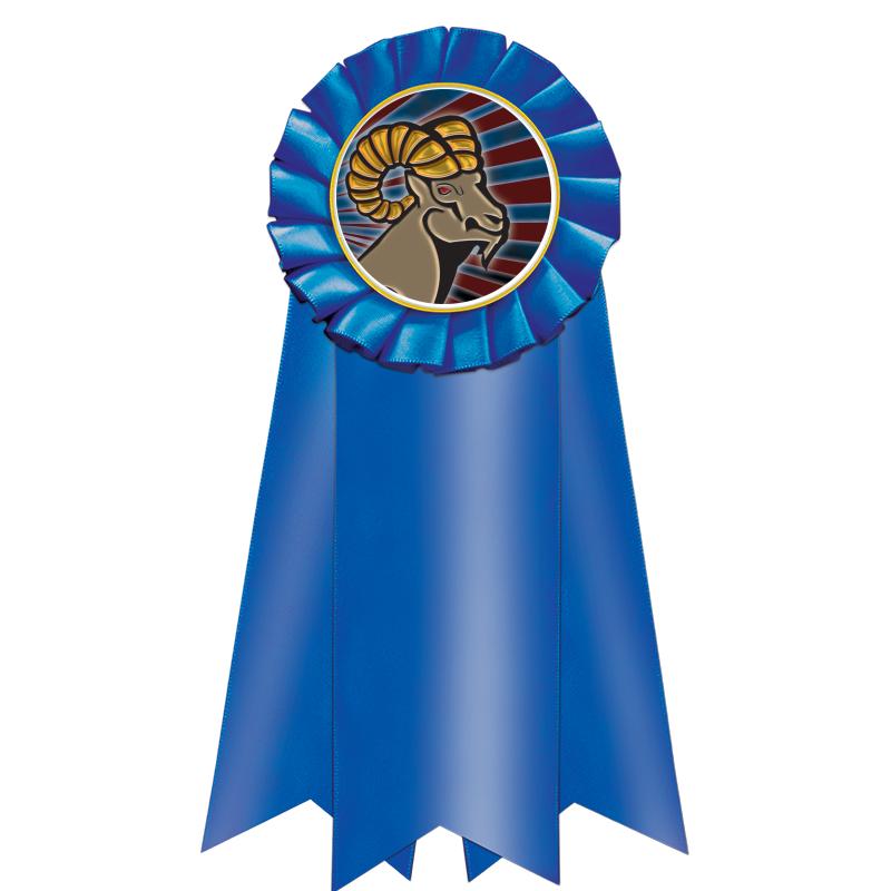 7" JUMBO BLUE MYLAR ROSETTE