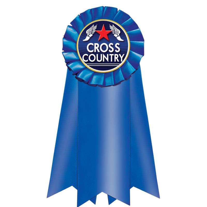 7" JUMBO BLUE MYLAR ROSETTE