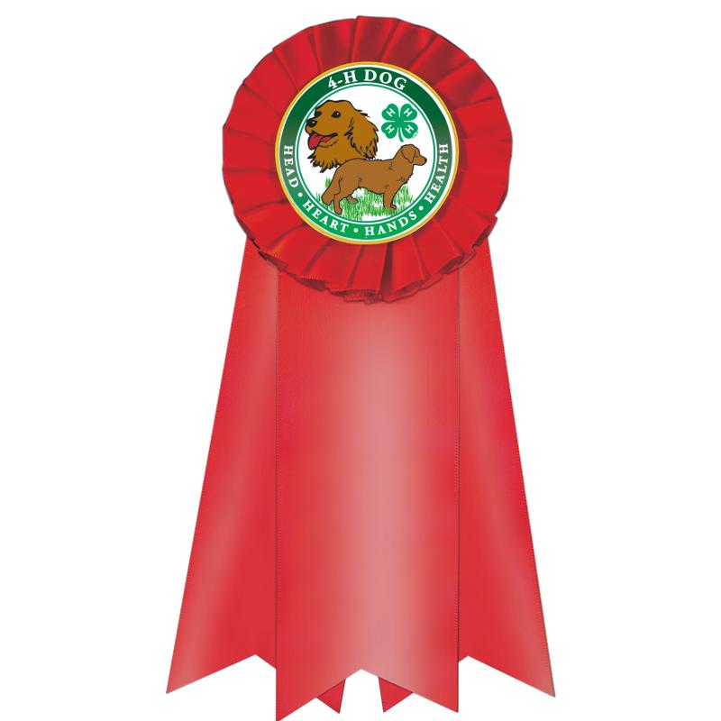 7" JUMBO RED MYLAR ROSETTE