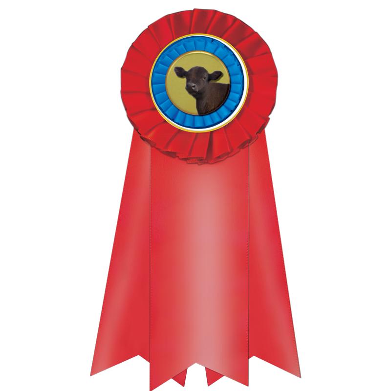 7" JUMBO RED MYLAR ROSETTE