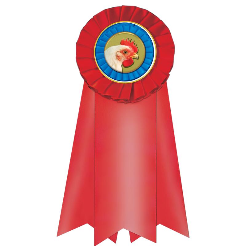 7" JUMBO RED MYLAR ROSETTE