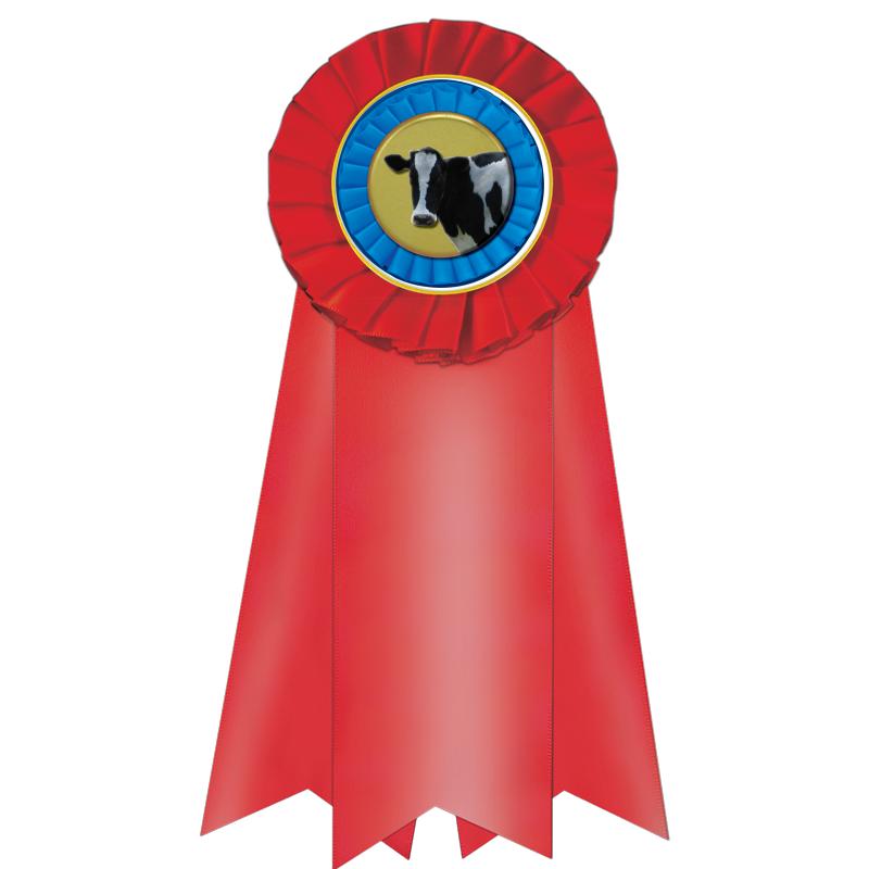 7" JUMBO RED MYLAR ROSETTE