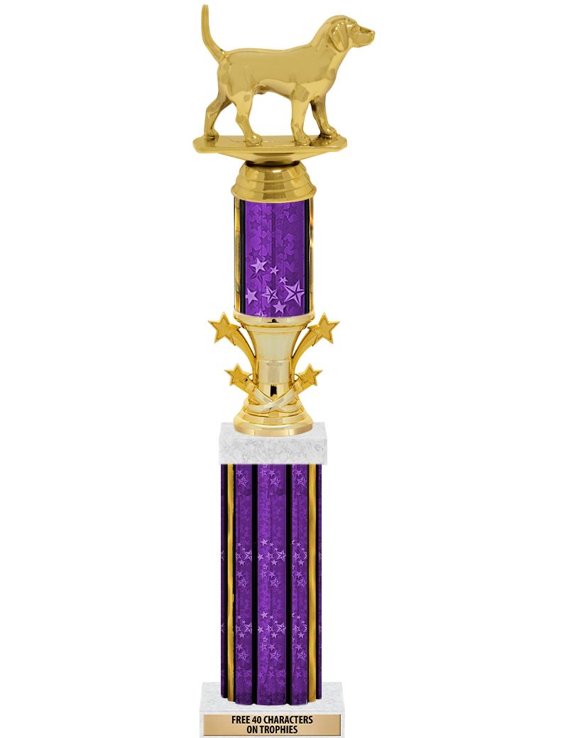 20"PRPL/G-STRS-STARBL DX ROCKT