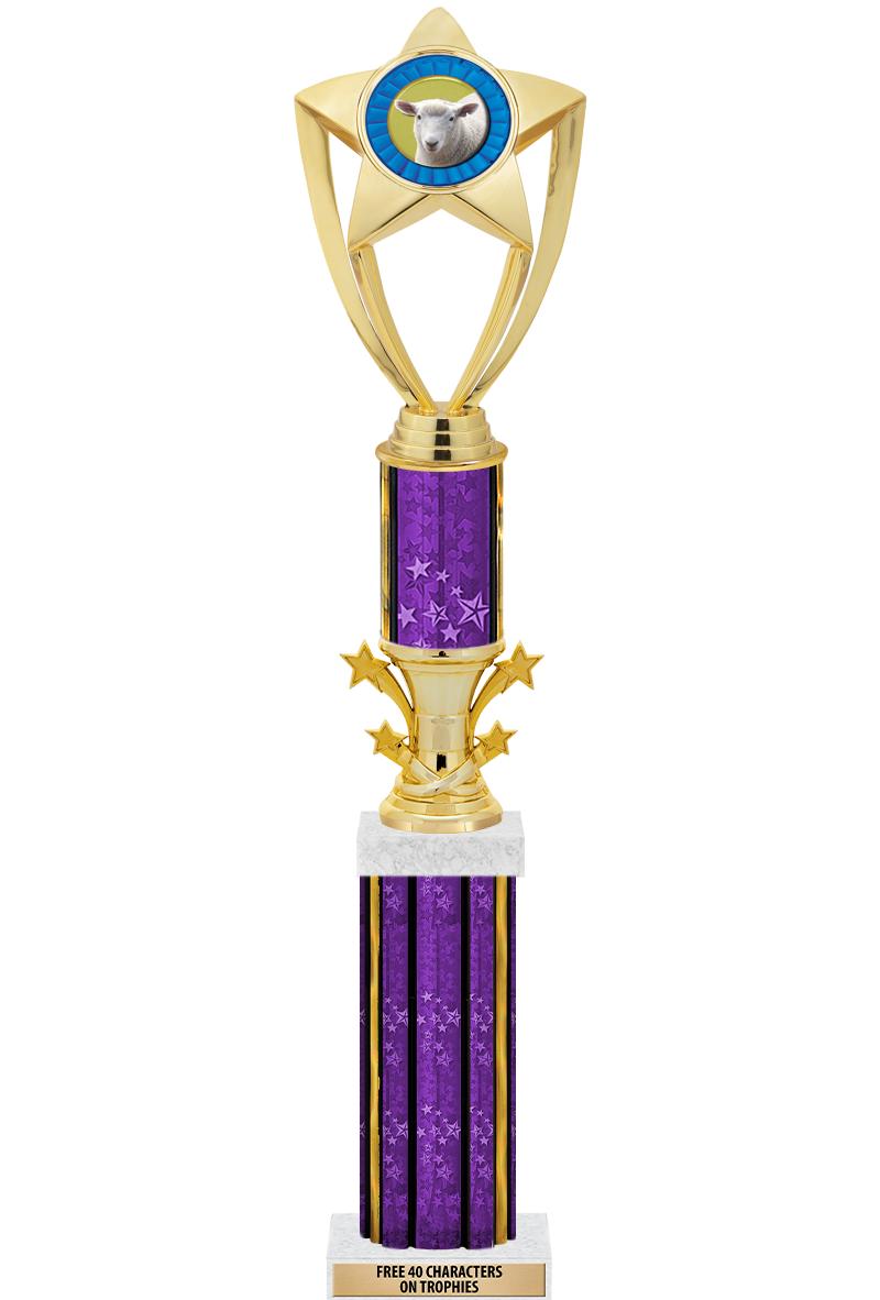 20"PRPL/G-STRS-STARBL DX ROCKT