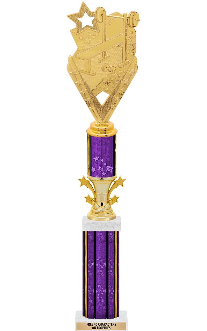 20"PRPL/G-STRS-STARBL DX ROCKT