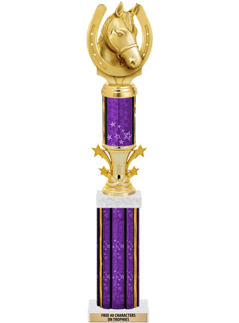 20"PRPL/G-STRS-STARBL DX ROCKT