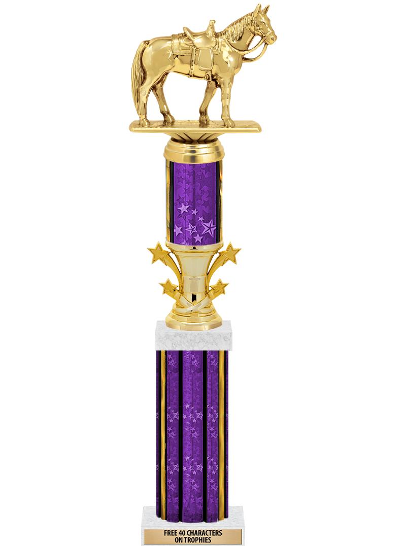 20"PRPL/G-STRS-STARBL DX ROCKT