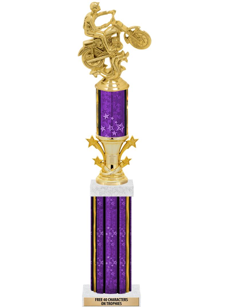 20"PRPL/G-STRS-STARBL DX ROCKT