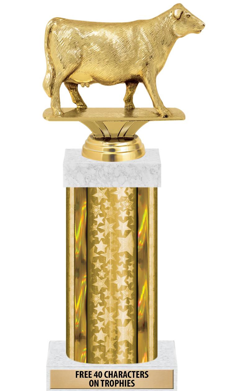 14"GOLD/GD-STARS-GD FIG/SQUARE