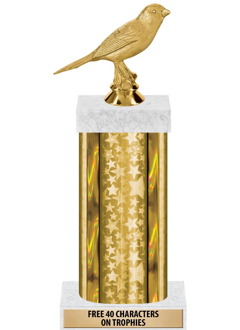 14"GOLD/GD-STARS-GD FIG/SQUARE