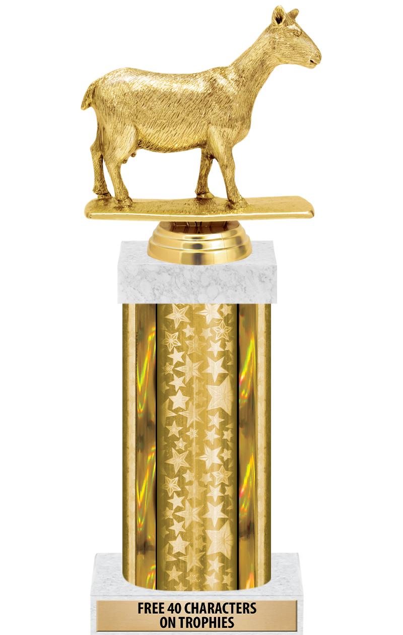 14"GOLD/GD-STARS-GD FIG/SQUARE