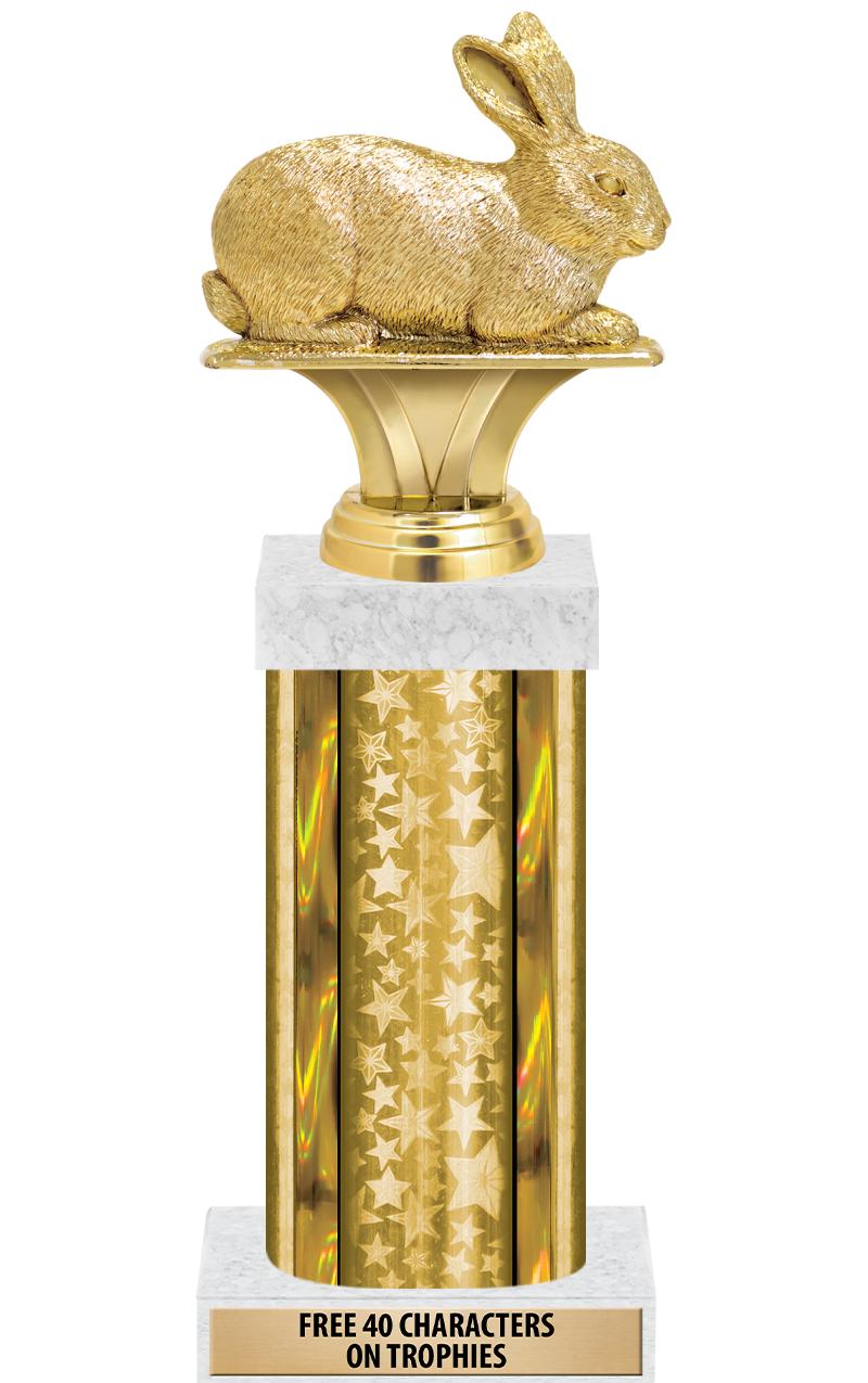 14"GOLD/GD-STARS-GD FIG/SQUARE