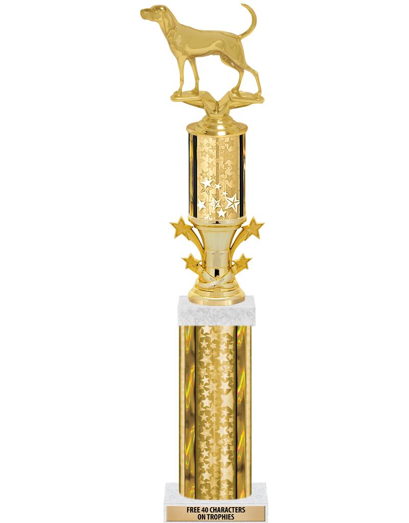 20"GOLD/G-STRS-STARBL DX ROCKT