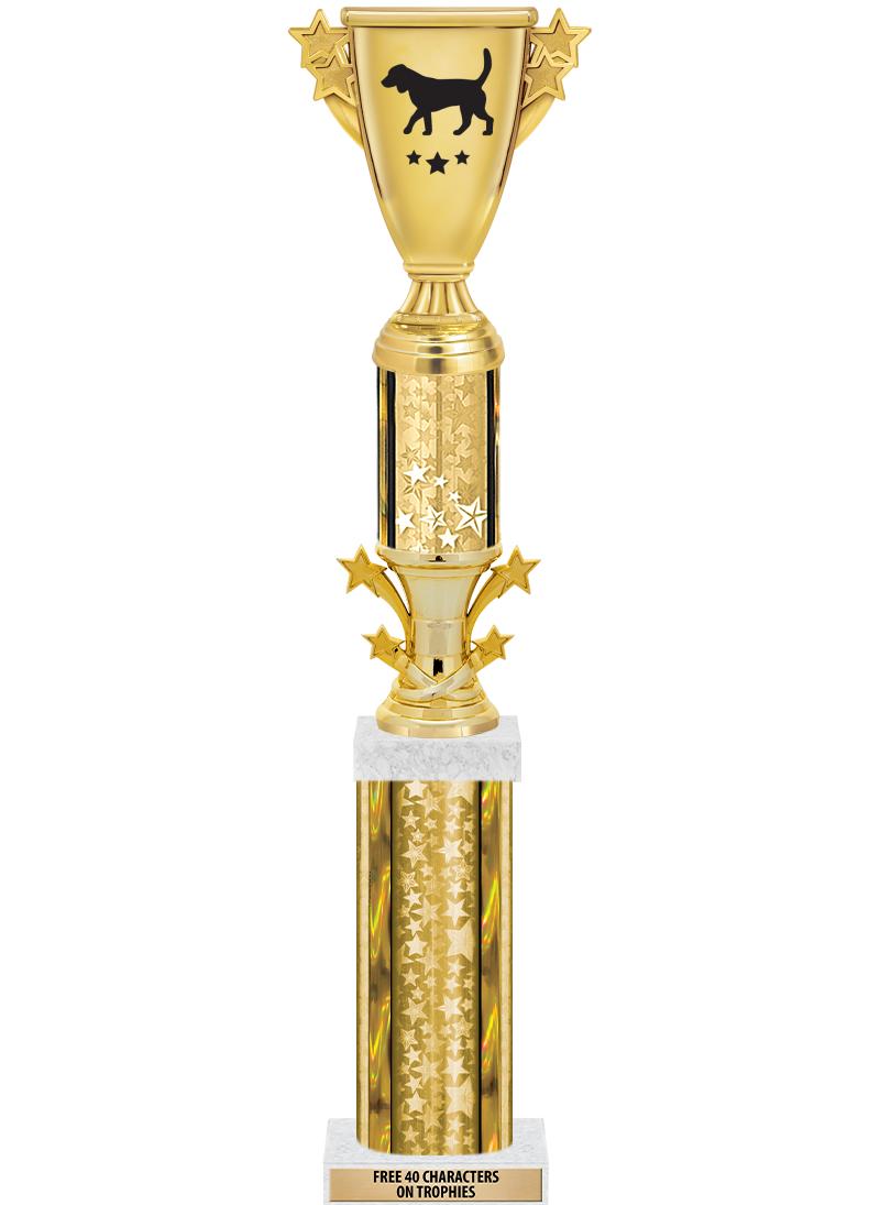 20"GOLD/G-STRS-STARBL DX ROCKT