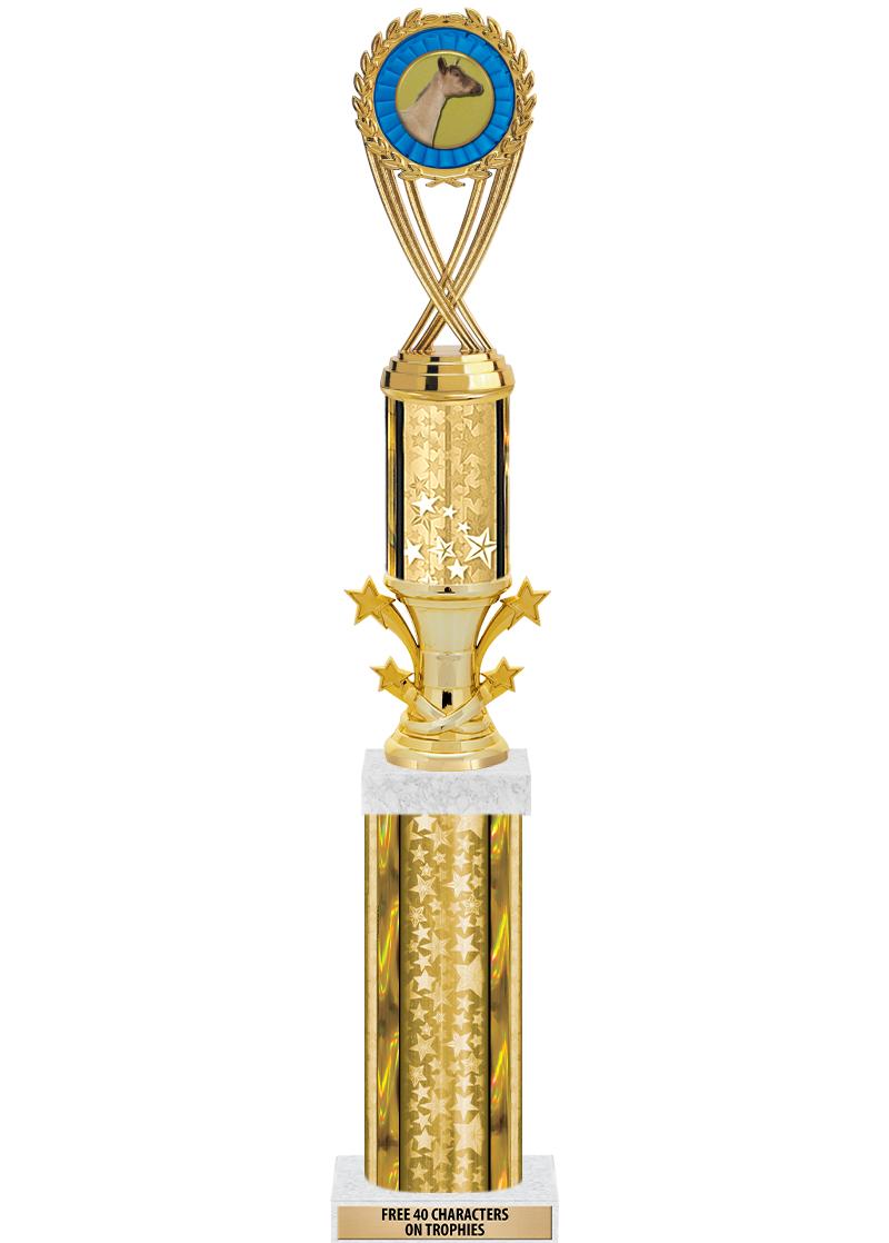 20"GOLD/G-STRS-STARBL DX ROCKT