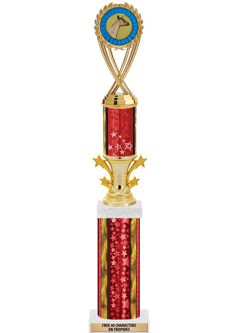 20"RED/G-STRS-STARBL DX ROCKT