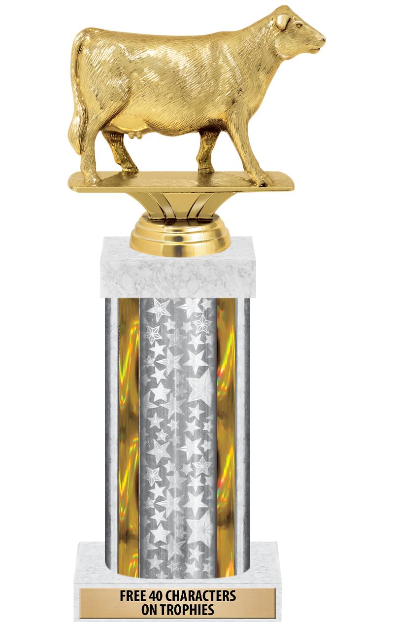 14"SLV/GD-STARS-GD FIG/SQUARE