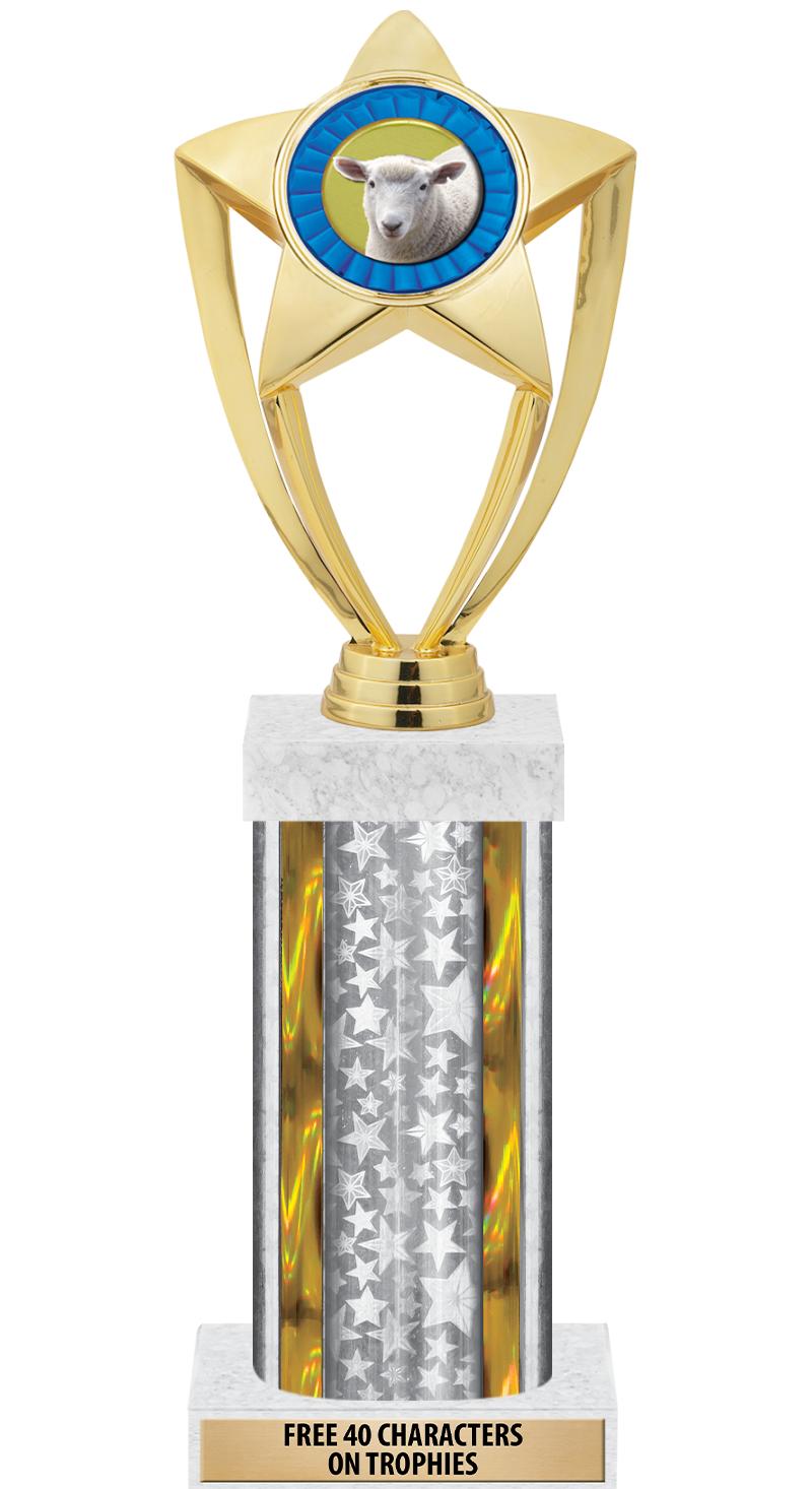 14"SLV/GD-STARS-GD FIG/SQUARE