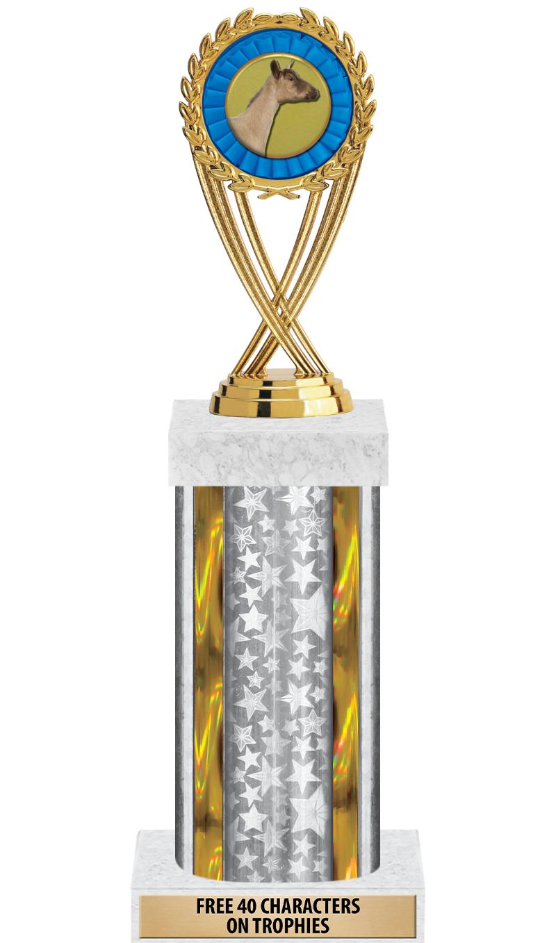 14"SLV/GD-STARS-GD FIG/SQUARE