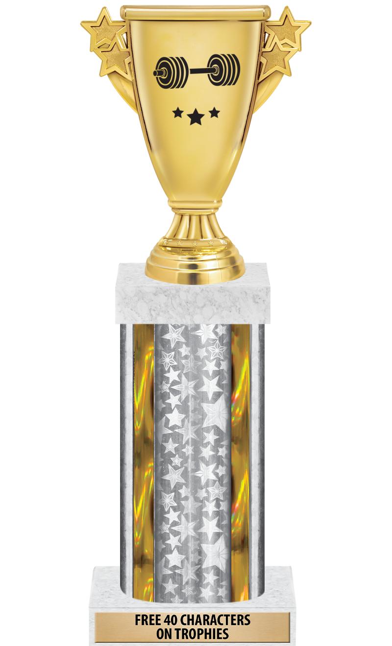 14"SLV/GD-STARS-GD FIG/SQUARE