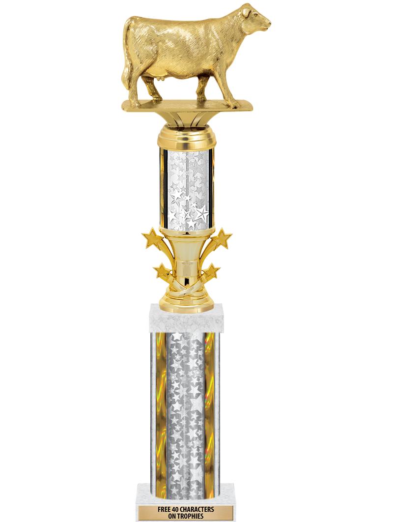 20"SLV/G-STRS-STARBL DX ROCKT