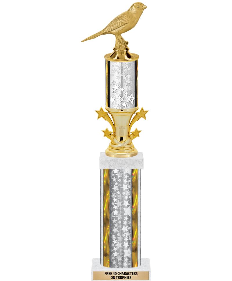 20"SLV/G-STRS-STARBL DX ROCKT