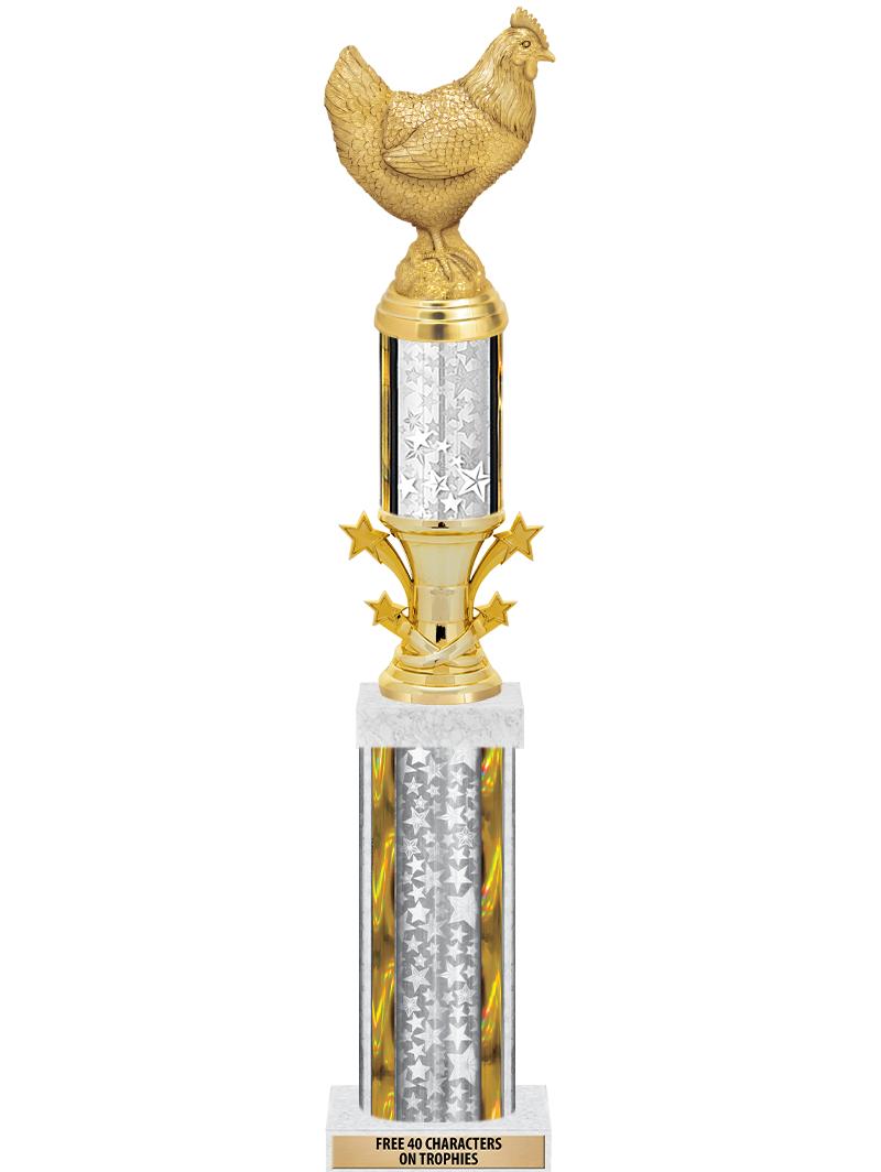 20"SLV/G-STRS-STARBL DX ROCKT