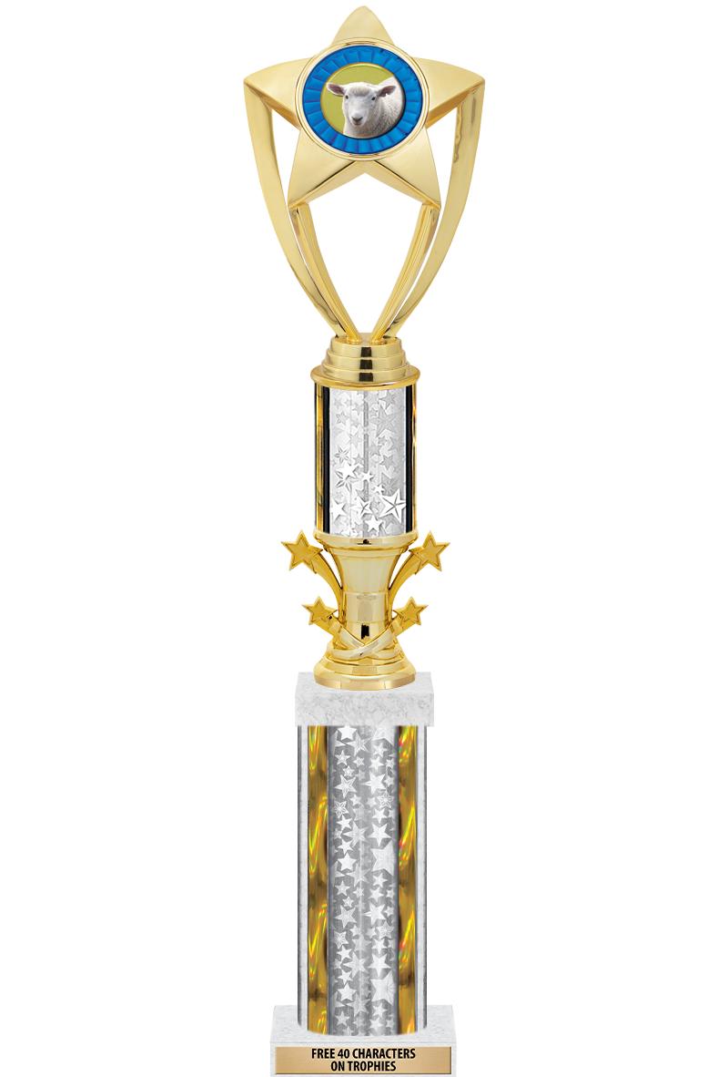 20"SLV/G-STRS-STARBL DX ROCKT