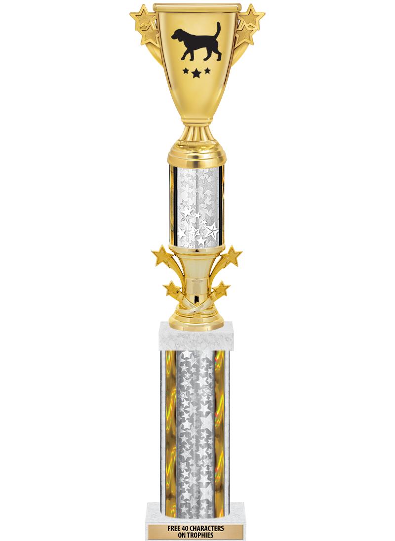 20"SLV/G-STRS-STARBL DX ROCKT