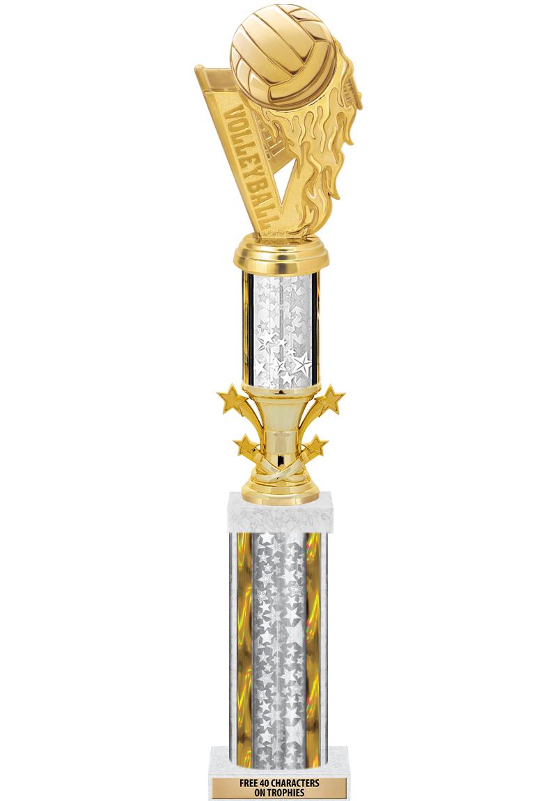 20"SLV/G-STRS-STARBL DX ROCKT