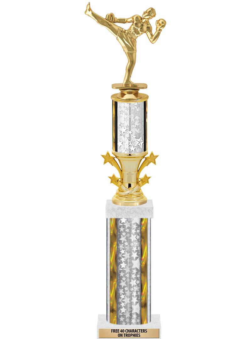 20"SLV/G-STRS-STARBL DX ROCKT