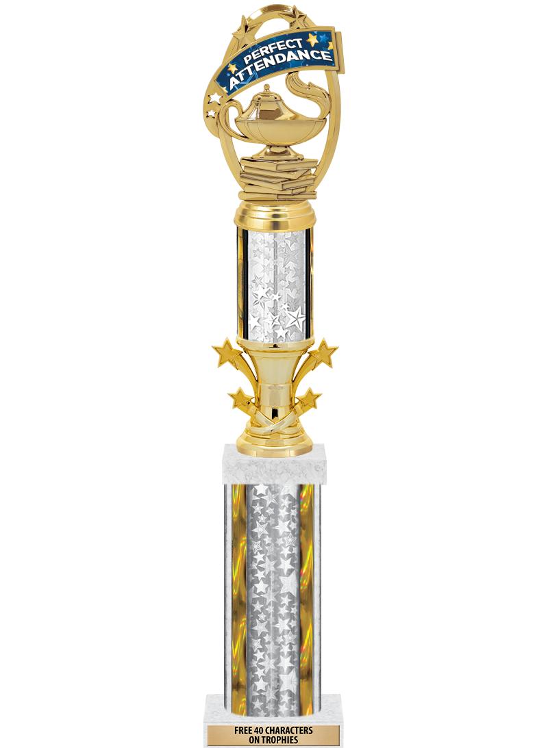 20"SLV/G-STRS-STARBL DX ROCKT