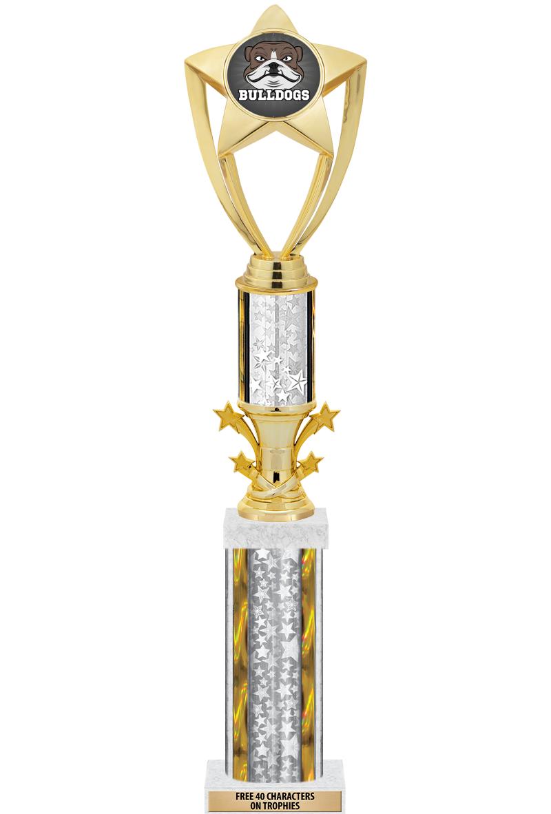 20"SLV/G-STRS-STARBL DX ROCKT