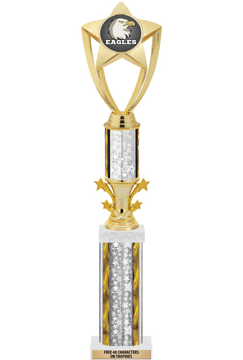 20"SLV/G-STRS-STARBL DX ROCKT