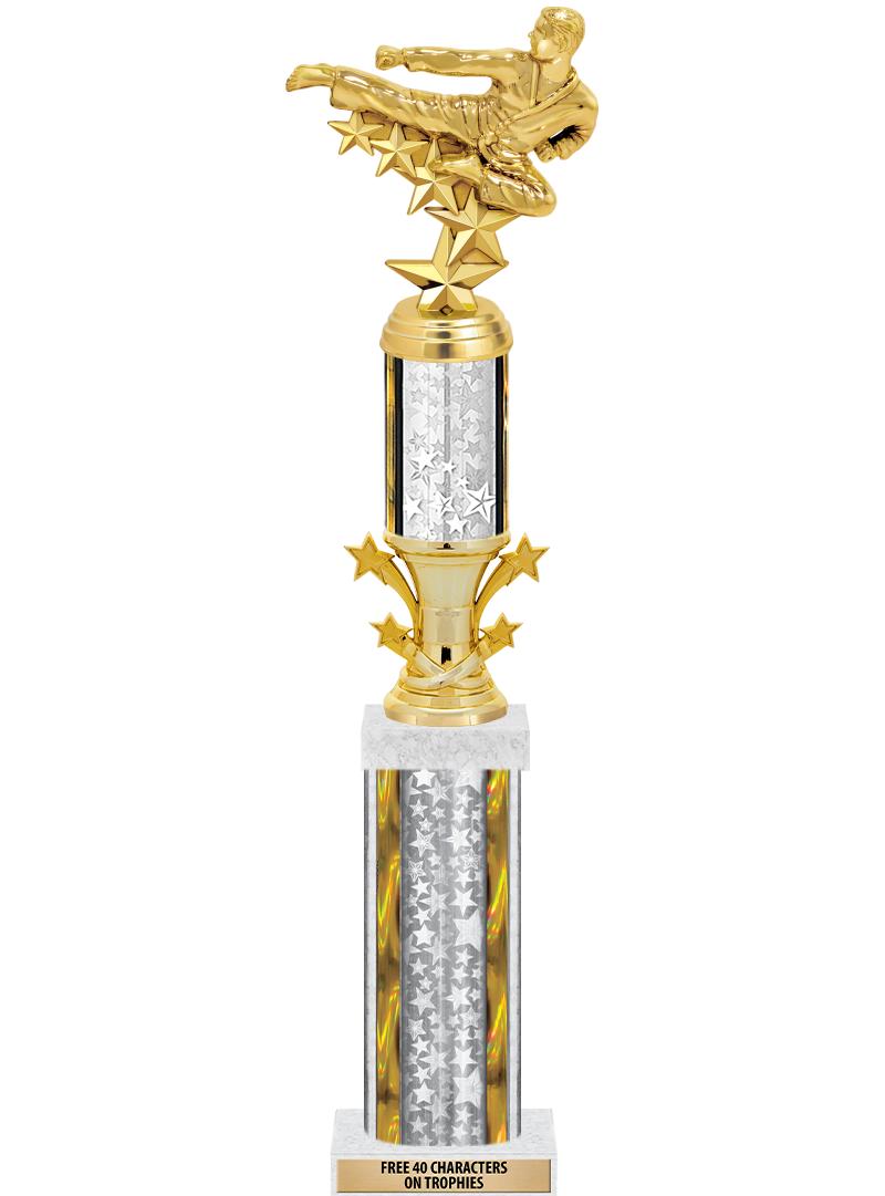 20"SLV/G-STRS-STARBL DX ROCKT