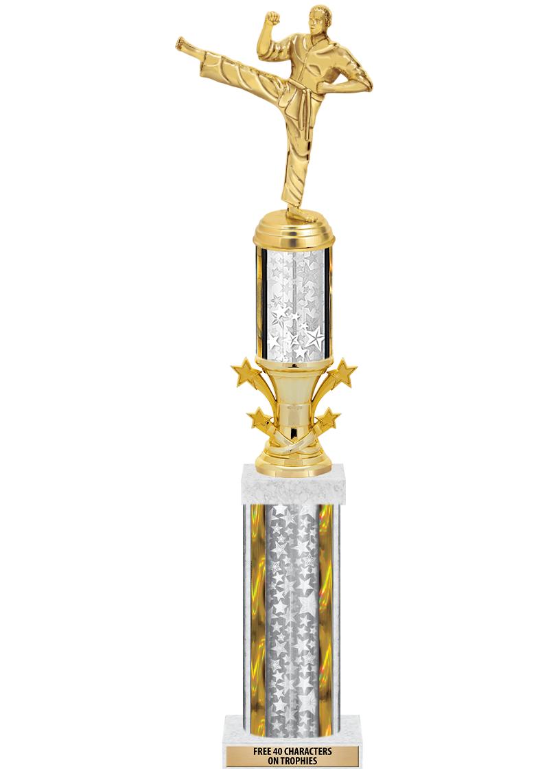 20"SLV/G-STRS-STARBL DX ROCKT