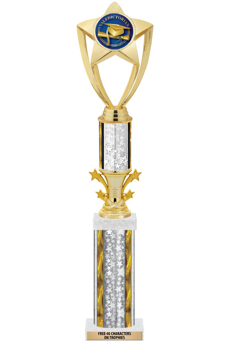 20"SLV/G-STRS-STARBL DX ROCKT