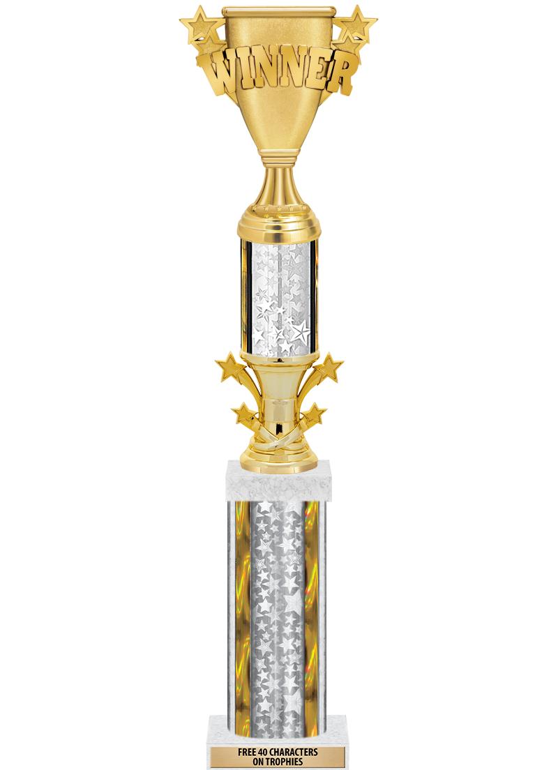 20"SLV/G-STRS-STARBL DX ROCKT