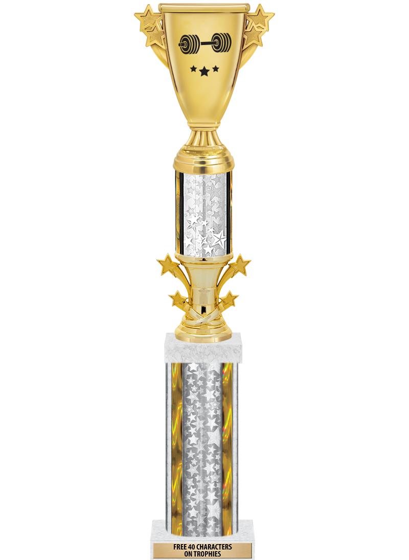 20"SLV/G-STRS-STARBL DX ROCKT