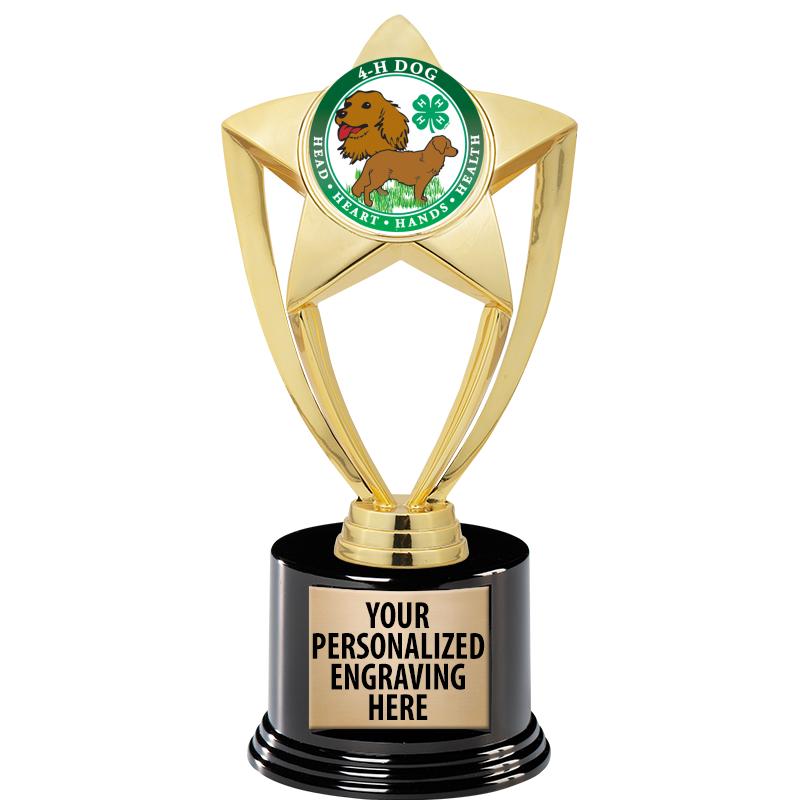 GOLD STAR INSERT TR W/BLK BASE