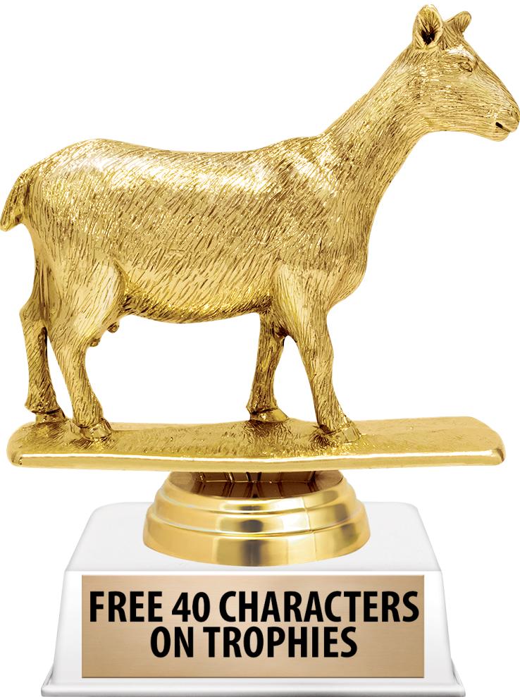 6"TROPHY ON WHITE CONTEMP BASE