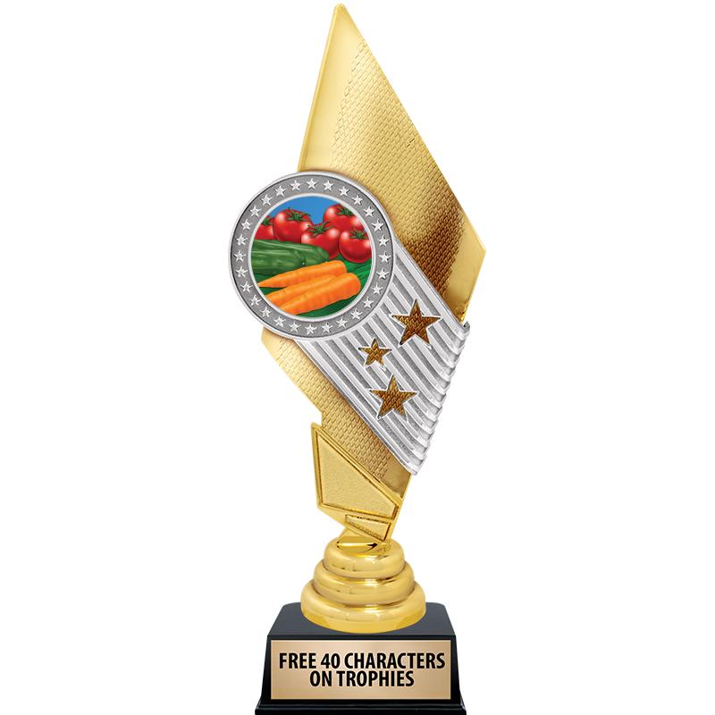 11" CELEBRITY INSERT TROPHY