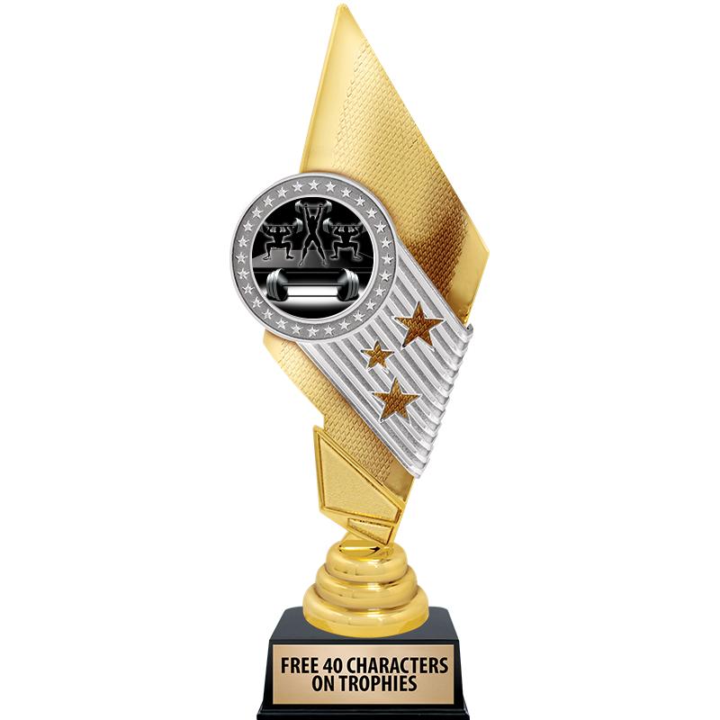 11" CELEBRITY INSERT TROPHY