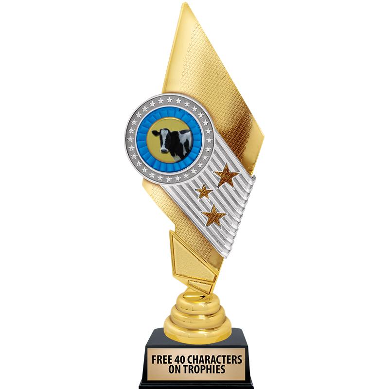 11" CELEBRITY INSERT TROPHY