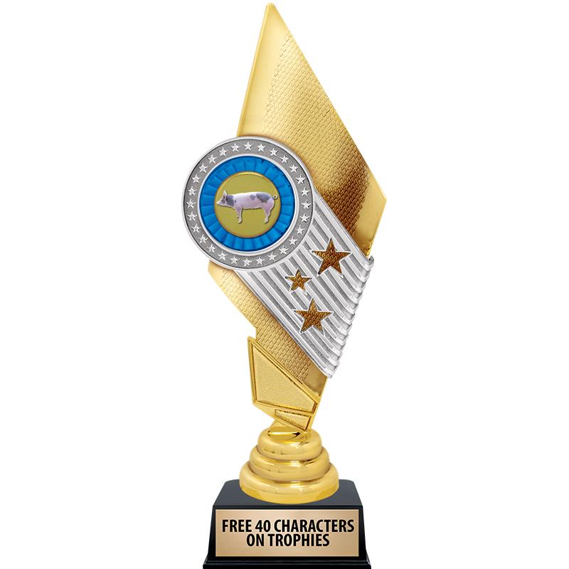 11" CELEBRITY INSERT TROPHY