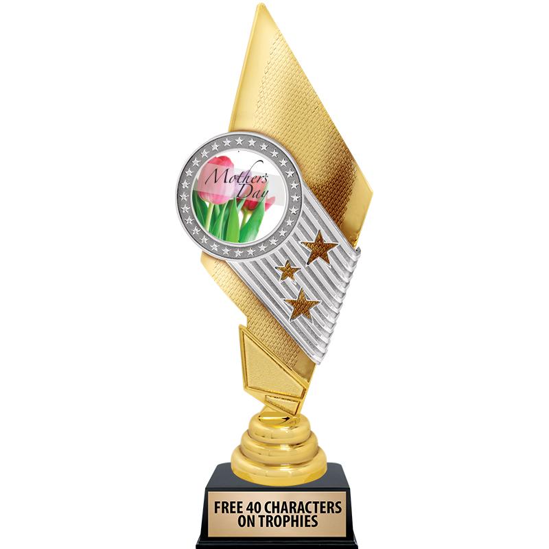 11" CELEBRITY INSERT TROPHY