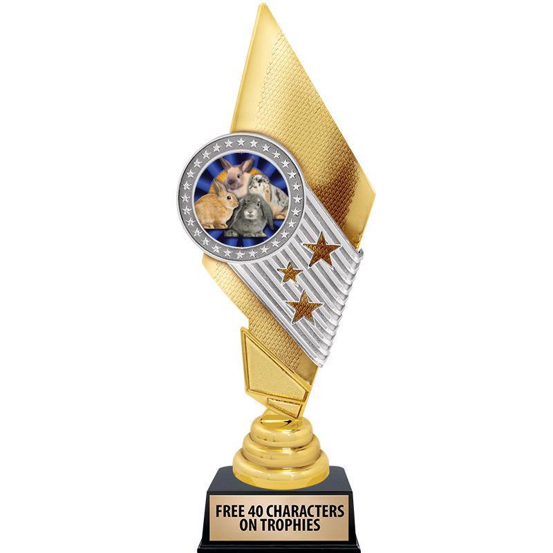 11" CELEBRITY INSERT TROPHY